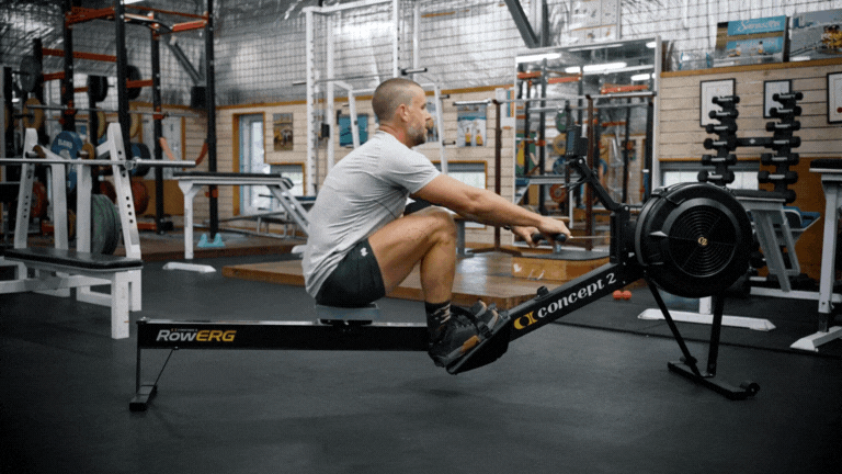 A looping animation of a rower moving through the stroke cycle, drive to recovery, on a Concept2 RowErg